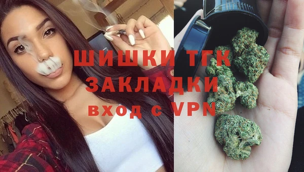 сатива Красноперекопск