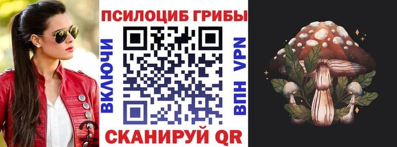 Псилоцибиновые грибы прущие грибы  Купить закладки  Нальчик 